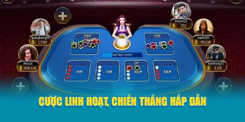 Cược linh hoạt, chiến thắng hấp dẫn