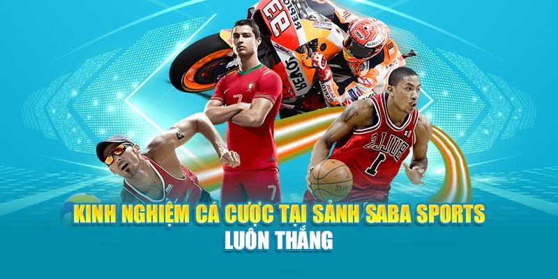 Kinh nghiệm cá cược tại sảnh Saba Sports luôn thắng